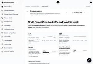 Illustrative Observatory Google Analytics view with the current navigation